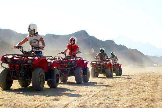 Morning Quad Safari